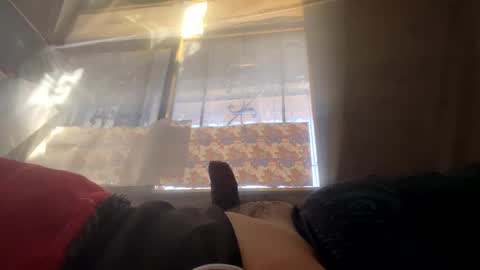 davzsoher online show from 01/19/25, 02:49