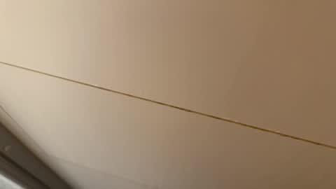 Hornybear online show from 01/15/26, 07:02