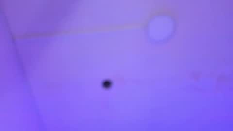 dayana_harlow2 online show from 01/16/25, 01:16