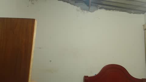 Dylon online show from 11/09/25, 09:29