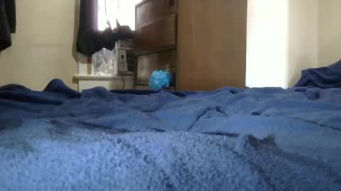 Snapshot of dcdrew3 chatting on 12/10/24, 05:00 Dcdrew3 online show from 12/10/24, 05:00