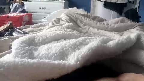 deano2105 online show from 03/15/26, 11:16