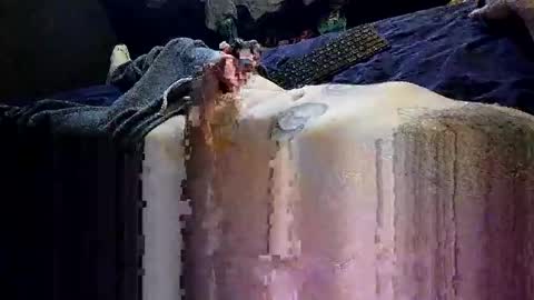 decoyx5o5 online show from 01/01/25, 02:09