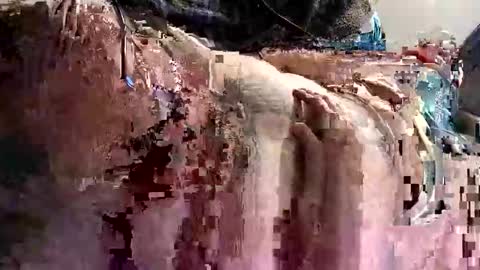 decoyx5o5 online show from 01/09/25, 01:18