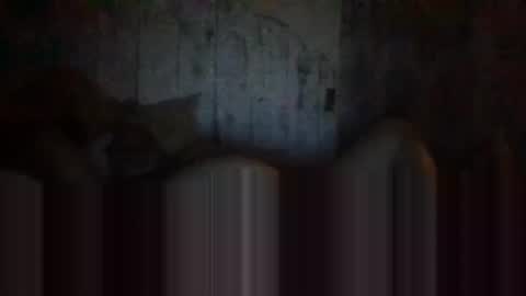 deepdiveme online show from 04/15/26, 04:08