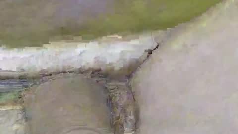 Snapshot of deepdiver3366 chatting on 11/02/25, 02:08 Dive Deep online show from 11/02/25, 02:08