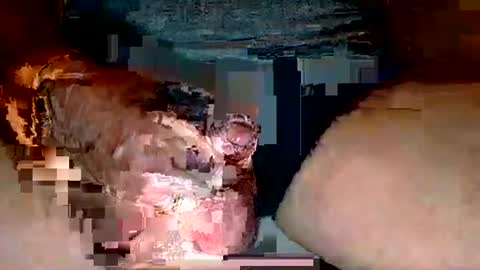 Snapshot of deepdiver3366 chatting on 12/02/25, 06:03 Dive Deep online show from 12/02/25, 06:03