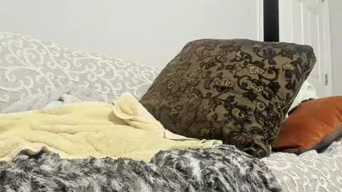 Deez Nutz online show from 02/24/25, 05:33