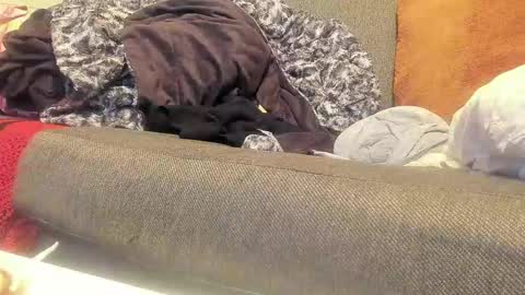 Deez Nutz online show from 09/09/25, 01:38