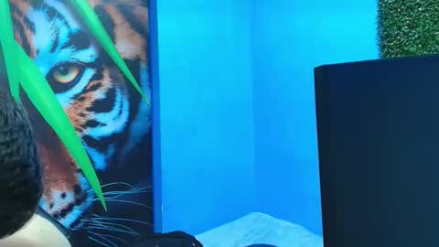 DEIBY online show from 01/31/26, 07:11