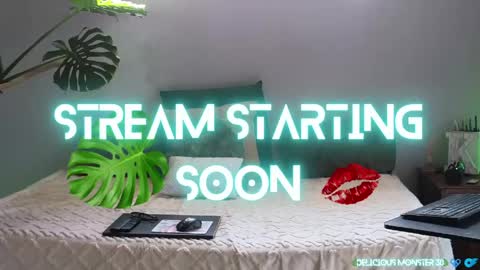 Kitty online show from 04/16/26, 07:31