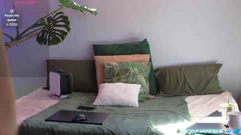 Kitty online show from 04/24/26, 08:50