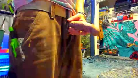 delightfuldance online show from 12/23/25, 05:16