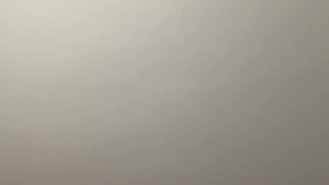 Delivery      online show from 12/19/24, 12:34