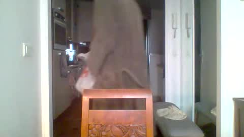 Snapshot of demundu chatting on 11/17/25, 01:17 demundu online show from 11/17/25, 01:17