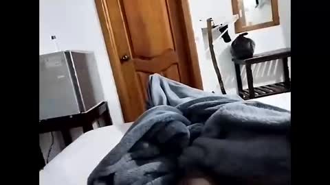 denier online show from 12/15/25, 05:01