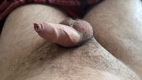 LilRoach online show from 11/16/25, 03:28