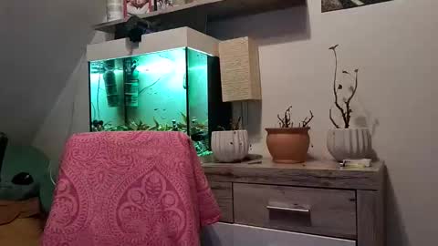 Denise and Brad online show from 02/03/26, 05:07