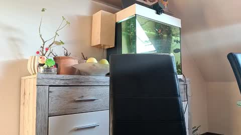 Denise and Brad online show from 04/07/26, 04:40