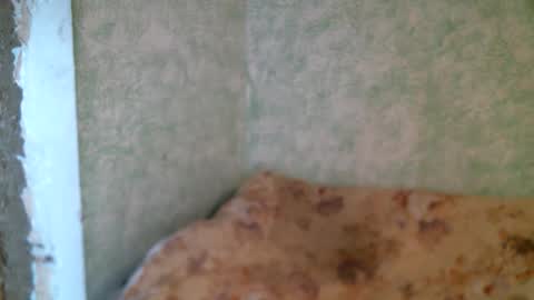 DennisXCarol online show from 04/23/26, 10:14