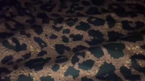 derek829099 online show from 09/11/25, 06:57