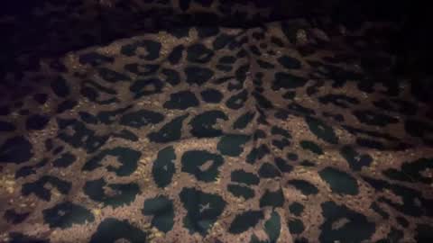 derek829099 online show from 10/09/25, 07:06