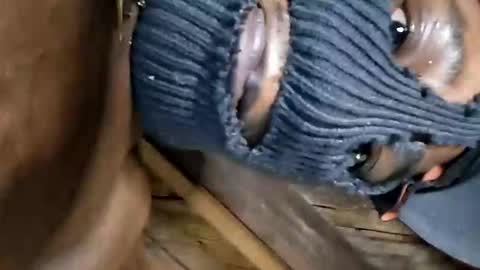 Marcus D-von Steel as the raunchy ass sniffer thrill me with your online show from 10/02/25, 07:15