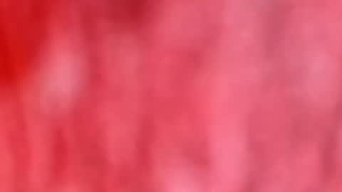 Marcus D-von Steel as the raunchy ass sniffer thrill me with your online show from 01/12/26, 10:42