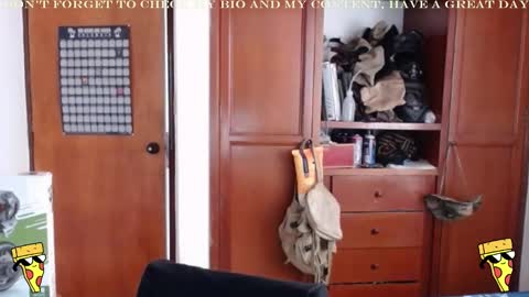 Snapshot of diamond_bruno chatting on 12/26/24, 03:20 Bruno Diamond online show from 12/26/24, 03:20