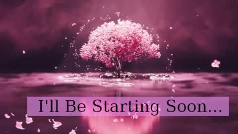 Daphne Sophia Vega online show from 04/03/26, 08:01