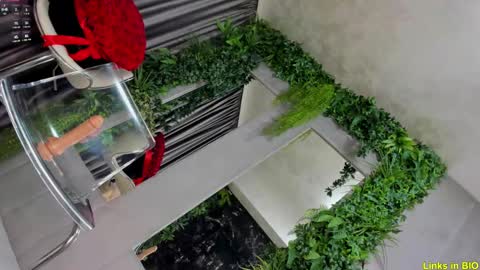 Jo online show from 02/08/25, 03:08