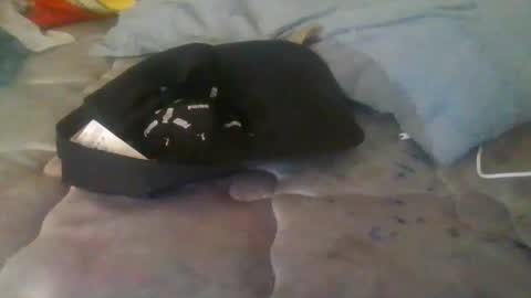 Snapshot of diamondeye112 chatting on 12/23/25, 05:05 diamondeye112 online show from 12/23/25, 05:05