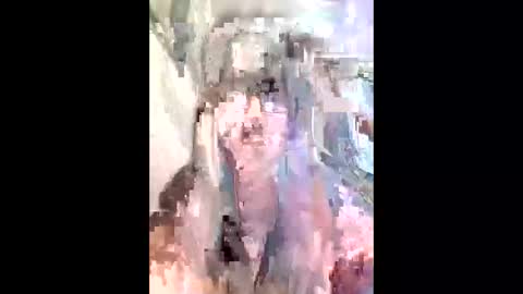 diana0108 online show from 11/29/25, 11:57