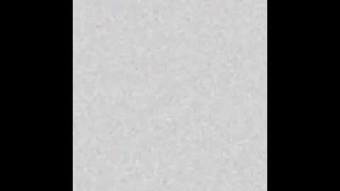 diana_lambert online show from 12/23/24, 08:55