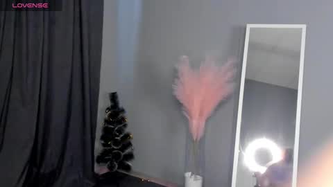 Dianne online show from 01/30/25, 09:36