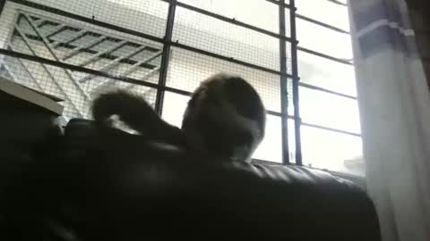 dickeduardo online show from 03/29/26, 10:32