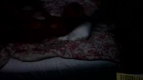 Snapshot of dickgiggler chatting on 07/17/26, 12:34 Sparkx online show from 07/17/26, 12:34