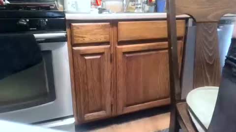dickwack4u online show from 06/07/26, 04:33