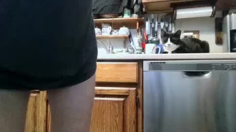 dickwack4u online show from 06/08/26, 01:28