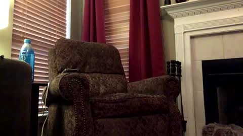 diegodavids online show from 01/31/25, 03:55