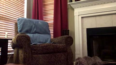 diegodavids online show from 02/06/25, 03:20