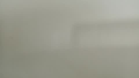 Diego online show from 12/21/24, 05:29