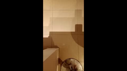 Diego online show from 02/21/26, 10:33