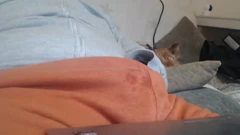 DiegoVLC online show from 03/20/26, 11:37