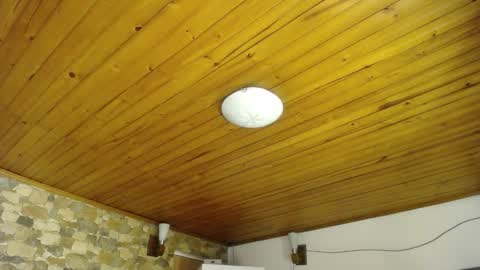 Velma Dinkley online show from 11/12/25, 09:47