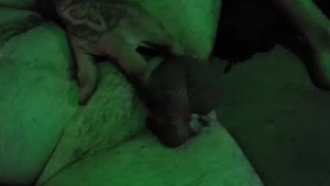 Snapshot of dikkdixon chatting on 02/28/26, 03:57 dikkdixon online show from 02/28/26, 03:57