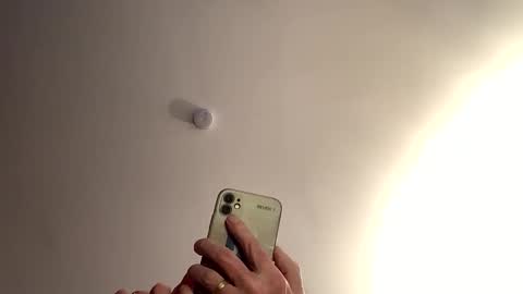 Dildolover online show from 01/15/26, 09:58