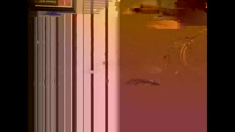 Snapshot of dildosnme22 chatting on 01/13/25, 11:08 dildosnme22 online show from 01/13/25, 11:08