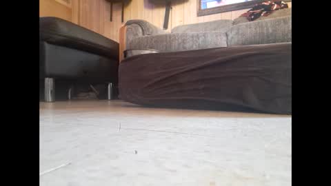 Snapshot of dildosnme22 chatting on 02/19/25, 07:48 dildosnme22 online show from 02/19/25, 07:48