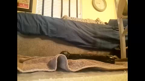 Snapshot of dildosnme22 chatting on 03/10/25, 06:45 dildosnme22 online show from 03/10/25, 06:45